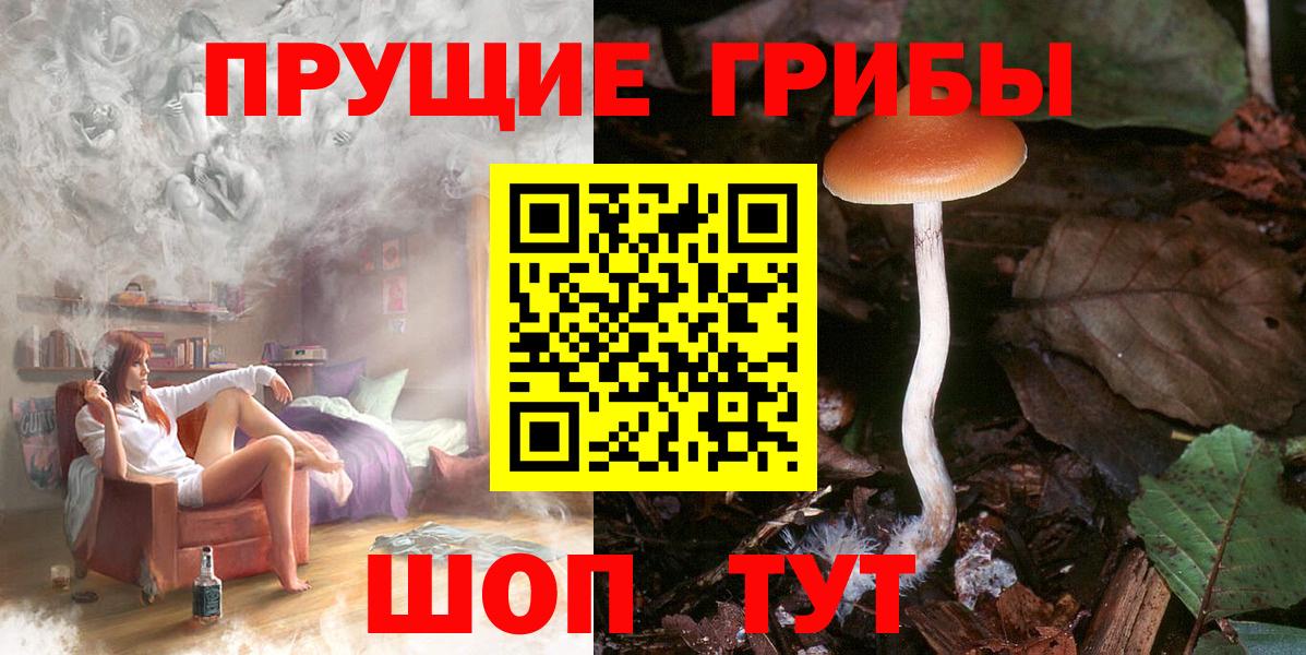 Галлюциногенные грибы мухоморы Серов
